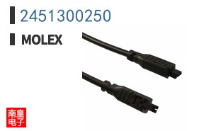 2451300250