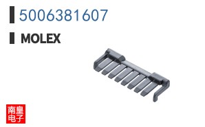 5006381607