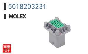 5018203231
