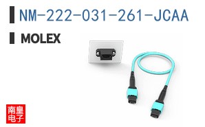 NM-222-031-261-JCAA