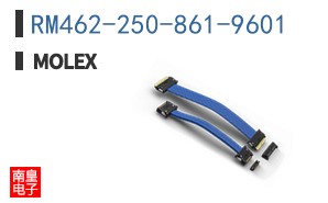 RM462-250-861-9601