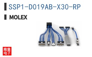 SSP1-D019AB-X30-RP