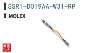 SSR1-D019AA-W31-RP
