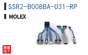 SSR2-B008BA-U31-RP