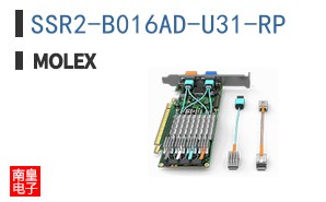 SSR2-B016AD-U31-RP