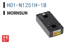 HO1-N1251H-1B
