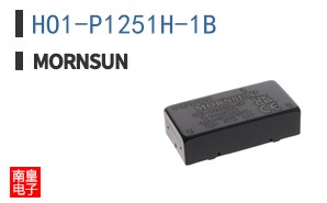 HO1-P1251H-1B