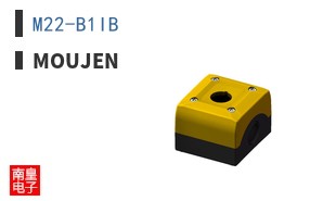 M22-B1IB