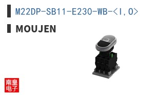 M22DP-SB11-E230-WB-<I,O>