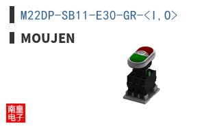 M22DP-SB11-E30-GR-<I,O>