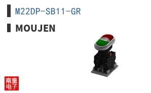 M22DP-SB11-GR