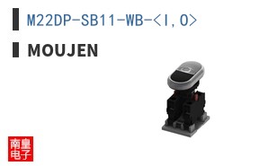 M22DP-SB11-WB-<I,O>