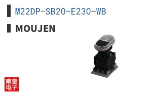 M22DP-SB20-E230-WB