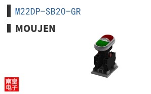 M22DP-SB20-GR