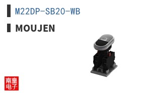 M22DP-SB20-WB