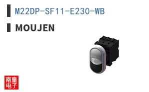 M22DP-SF11-E230-WB
