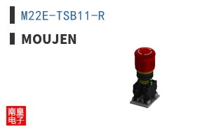 M22E-TSB11-R
