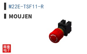 M22E-TSF11-R