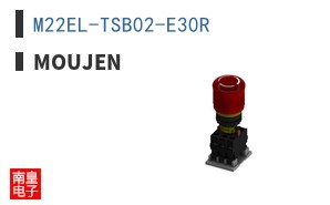 M22EL-TSB02-E30R