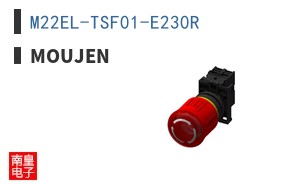 M22EL-TSF01-E230R