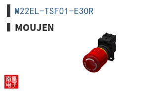 M22EL-TSF01-E30R