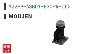 M22FP-ASB01-E30-W-<I>