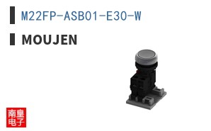 M22FP-ASB01-E30-W