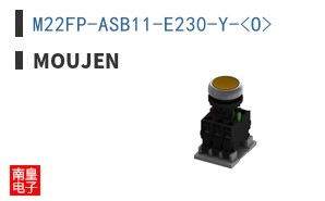 M22FP-ASB11-E230-Y-<O>
