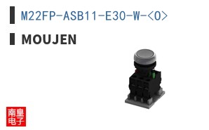 M22FP-ASB11-E30-W-<O>