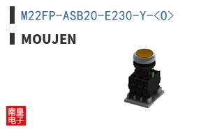 M22FP-ASB20-E230-Y-<O>