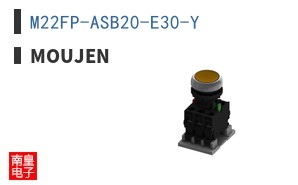 M22FP-ASB20-E30-Y