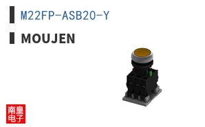 M22FP-ASB20-Y