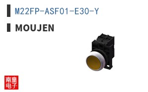 M22FP-ASF01-E30-Y