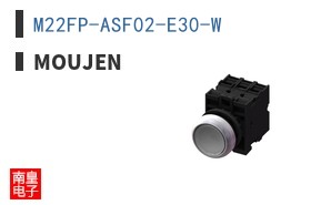 M22FP-ASF02-E30-W
