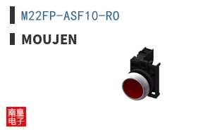 M22FP-ASF10-RO