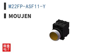 M22FP-ASF11-Y