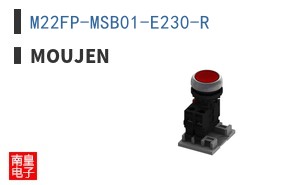 M22FP-MSB01-E230-R