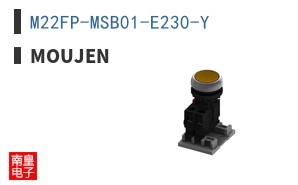 M22FP-MSB01-E230-Y
