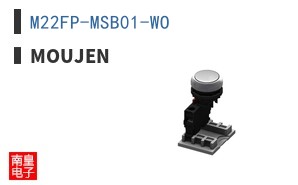M22FP-MSB01-WO