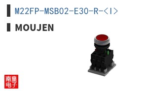 M22FP-MSB02-E30-R-<I>