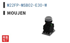 M22FP-MSB02-E30-W