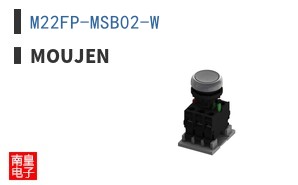 M22FP-MSB02-W