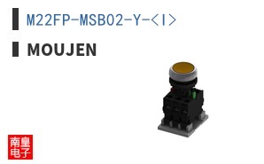M22FP-MSB02-Y-<I>