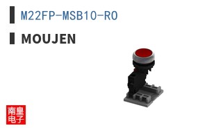 M22FP-MSB10-RO