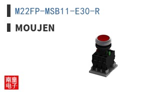 M22FP-MSB11-E30-R