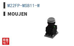 M22FP-MSB11-W