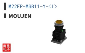 M22FP-MSB11-Y-<I>