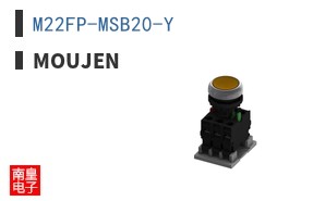 M22FP-MSB20-Y