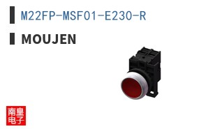 M22FP-MSF01-E230-R