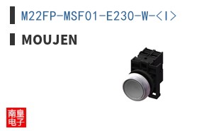 M22FP-MSF01-E230-W-<I>
